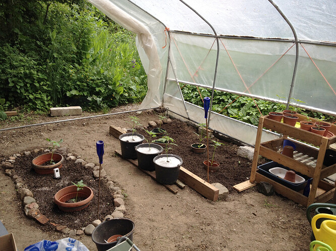 Growreport Bild 28
