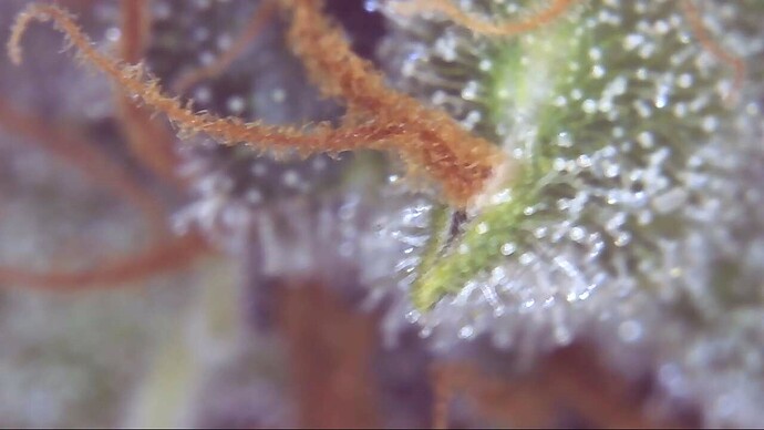 Growreport Bild 16