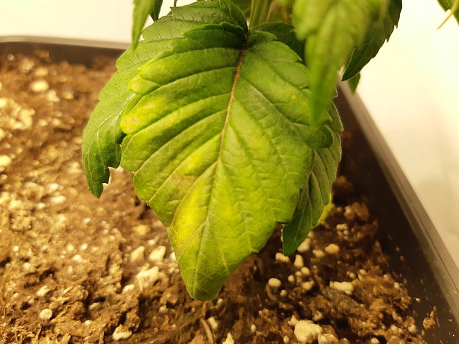 Growreport Bild 11