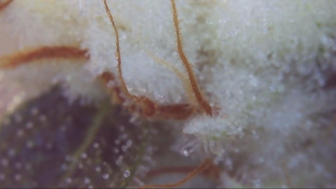 Growreport Bild 10