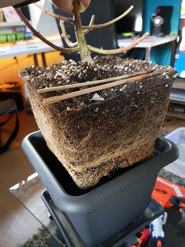 Growreport Bild 12
