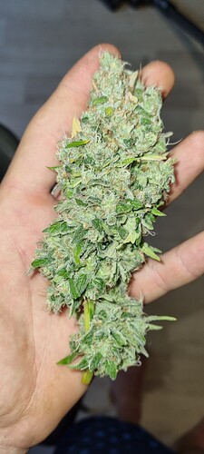Growreport Bild 8