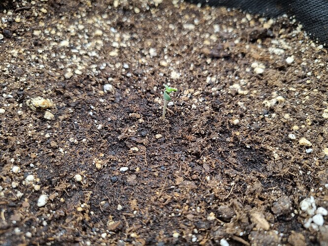 Growreport Bild 26