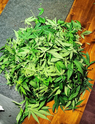 trim