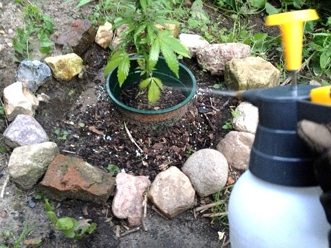 Growreport Bild 20
