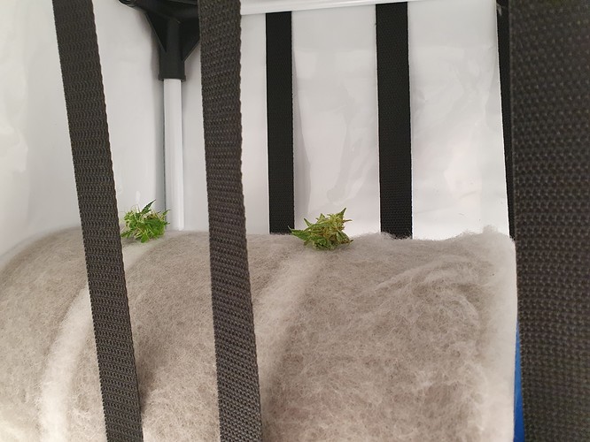 Growreport Bild 8