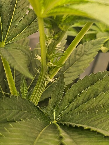 Growreport Bild 14