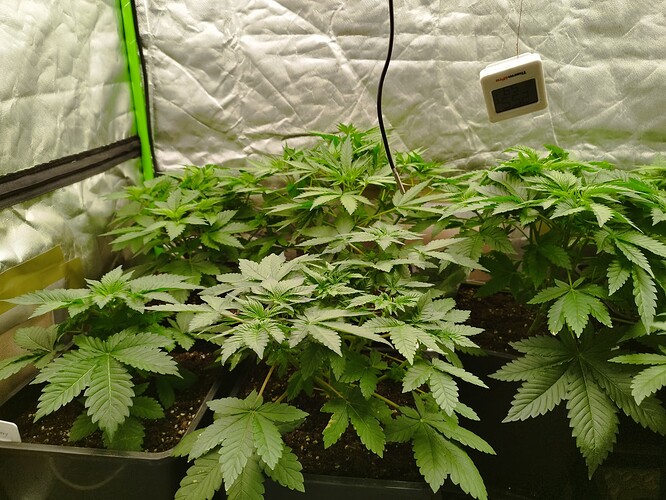 Growreport Bild 15