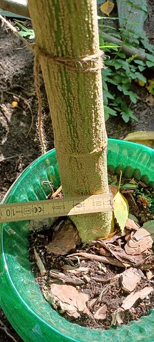 Growreport Bild 5