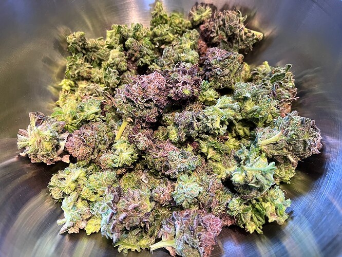 Growreport Bild 4