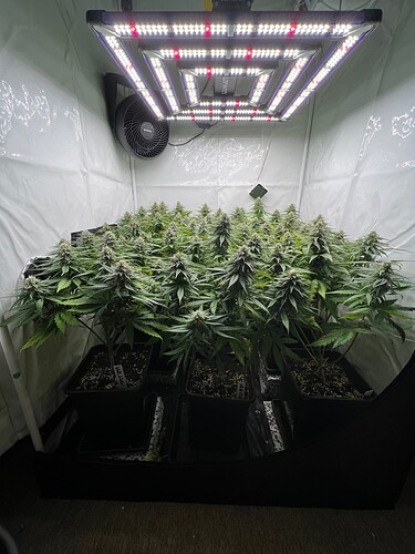 Growreport Bild 1