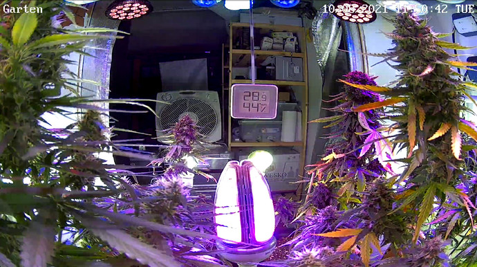 Growreport Bild 5
