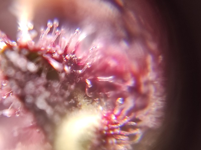 Growreport Bild 14