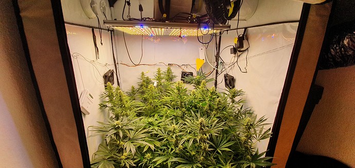 Growreport Bild 5