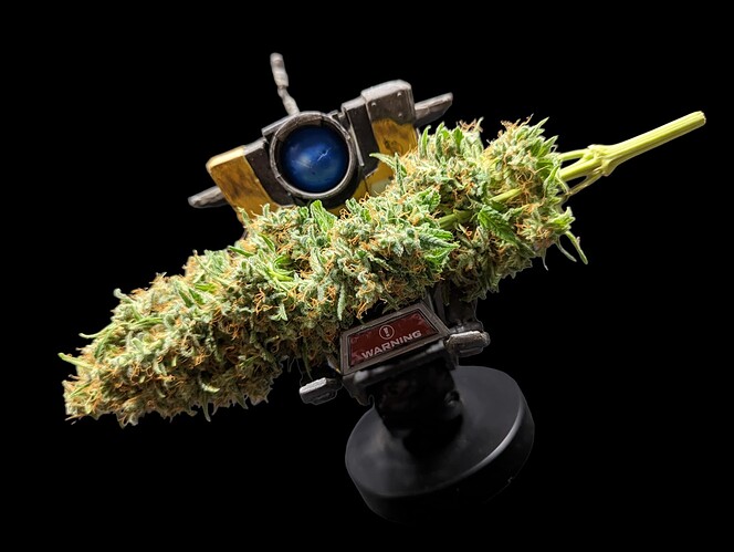 Growreport Bild 37