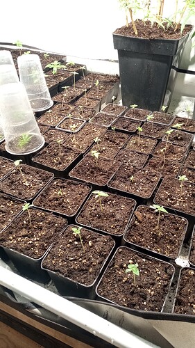 Growreport Bild 11