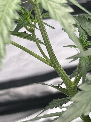 Growreport Bild 17