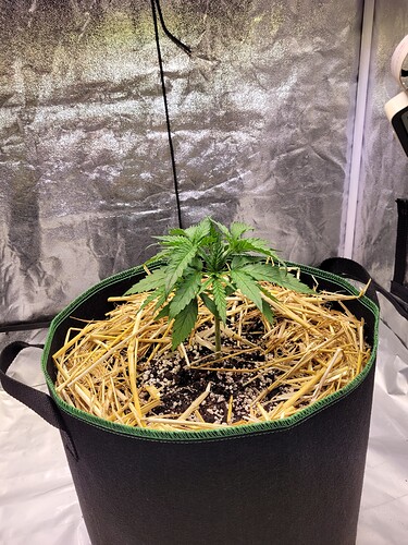 Growreport Bild 3