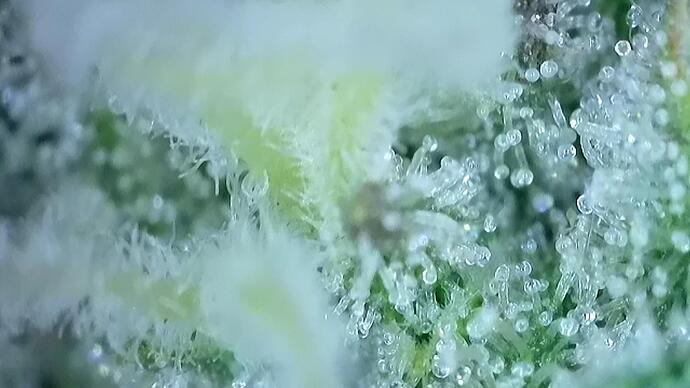 signal-2022-10-25-191504_003