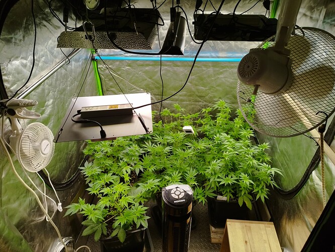 Growreport Bild 1