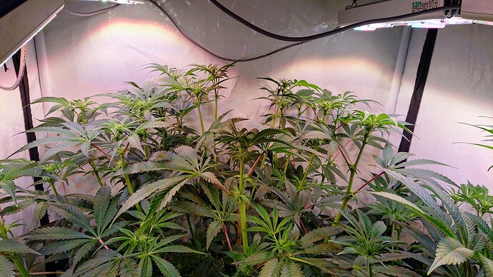 Growreport Bild 9
