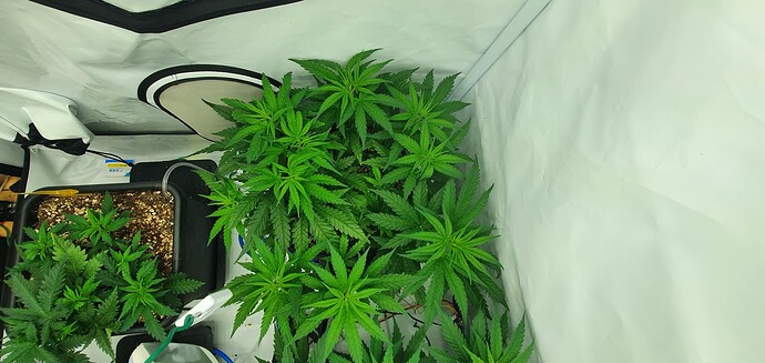 Growreport Bild 16