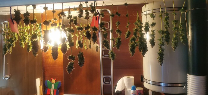Growreport Bild 2