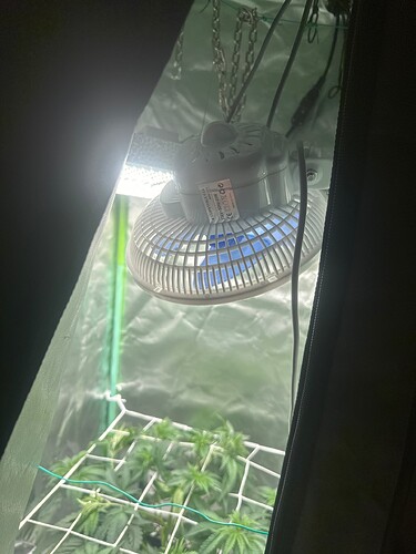 Growreport Bild 10