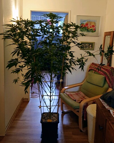 Growreport Bild 5