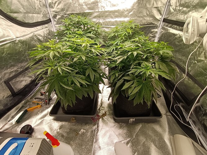 Growreport Bild 4