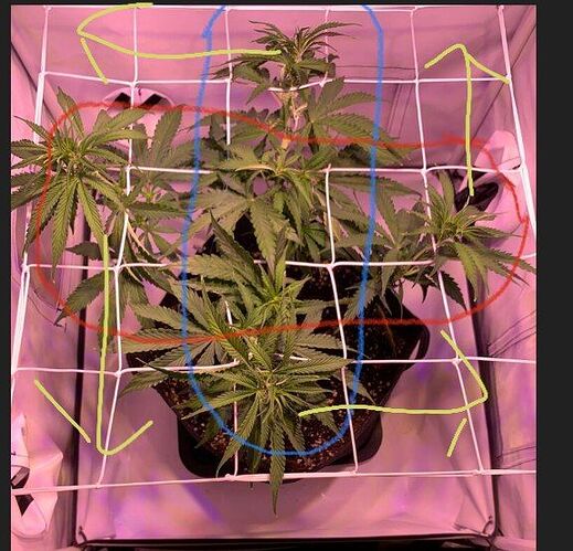 IMG_20221011_220551_051