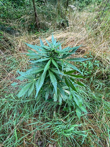Growreport Bild 10