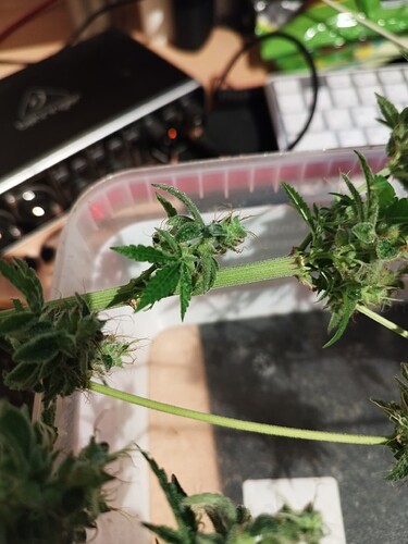 Growreport Bild 12