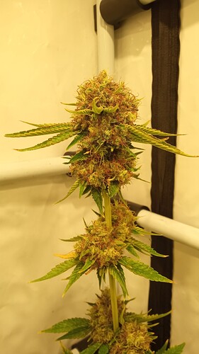 Growreport Bild 8