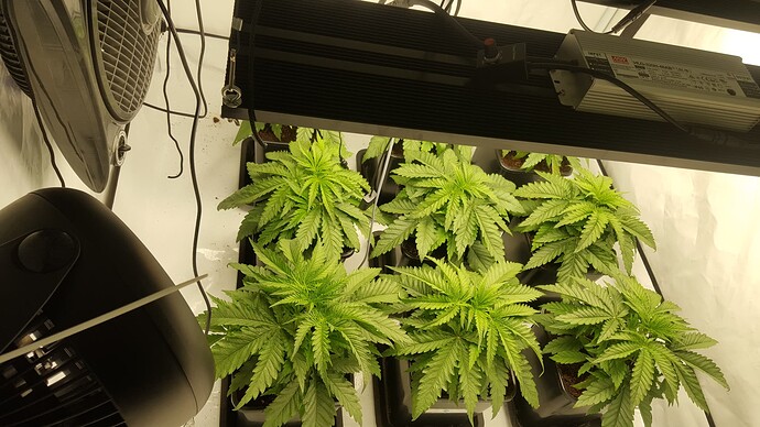 Growreport Bild 1
