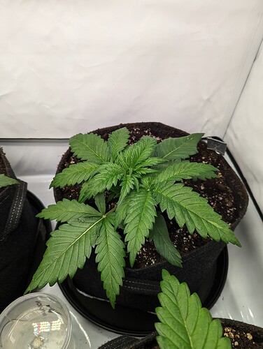 PXL_20231110_132411772