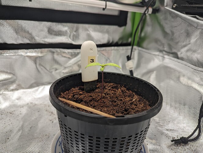 Growreport Bild 26