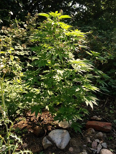 070_SiebterSiebter_04