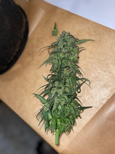 Growreport Bild 2