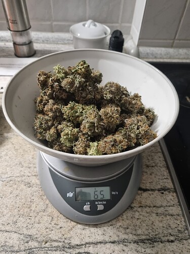 Growreport Bild 58