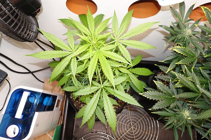 Growreport Bild 13