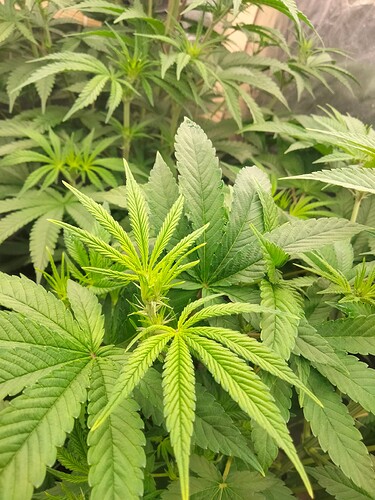 Growreport Bild 14