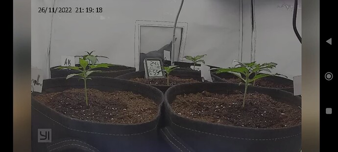 Growreport Bild 1