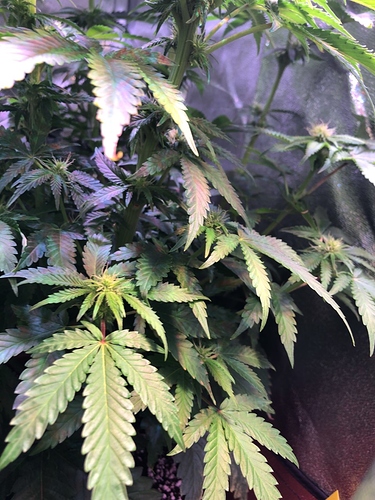 Growreport Bild 22