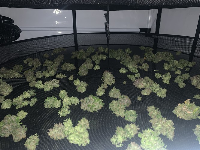 Growreport Bild 11