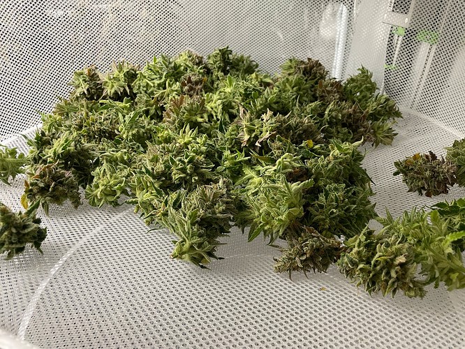 Growreport Bild 4