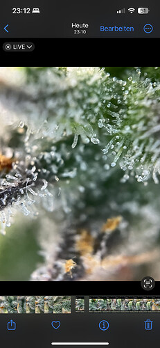 Growreport Bild 43