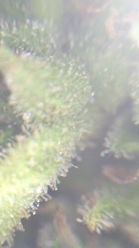 IMG_20230704_013609