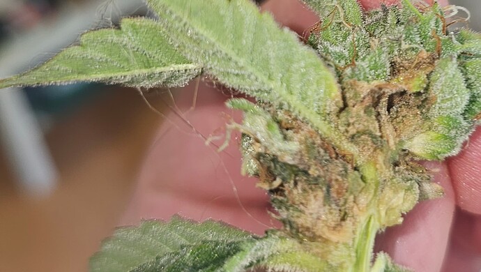 Growreport Bild 17