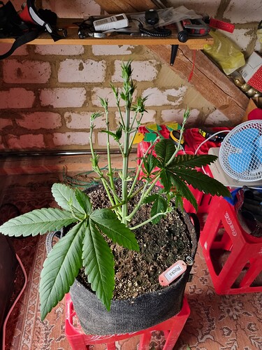 Growreport Bild 12